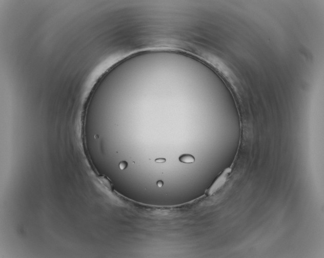X0000115241480200911131654