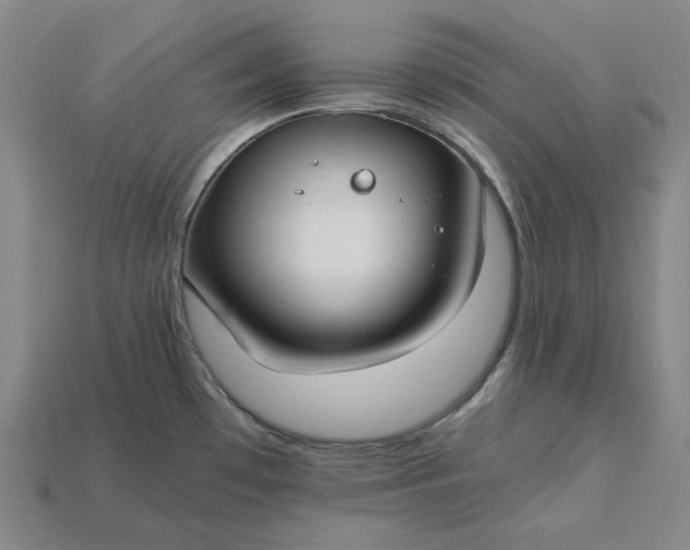 X0000115241481200911131654