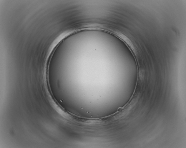 X0000115241482200911131654
