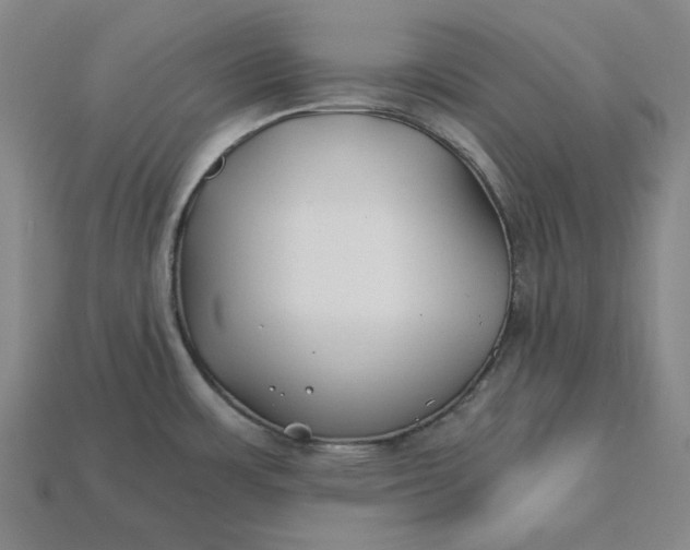 X0000115241483200911131654