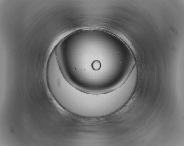 X0000115241485200911131654
