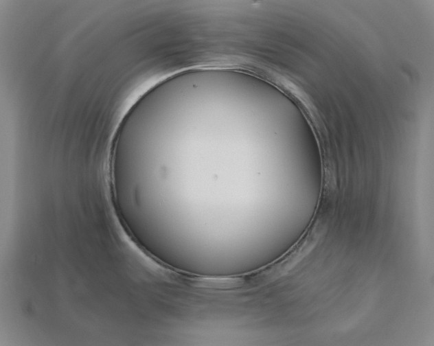 X0000115241487200911131654