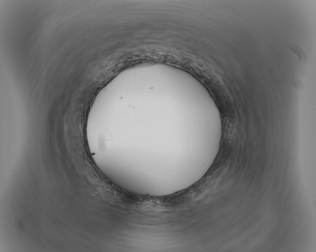 X0000115241489200911131653