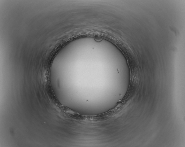 X0000115241490200911131653