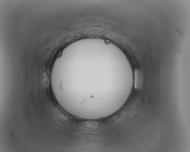 X0000115241491200911131653