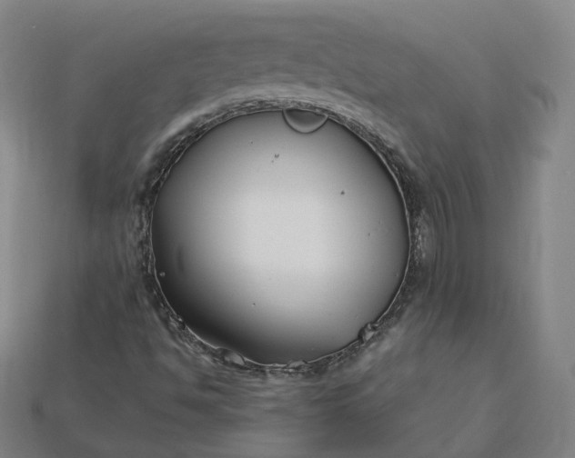 X0000115241494200911131653