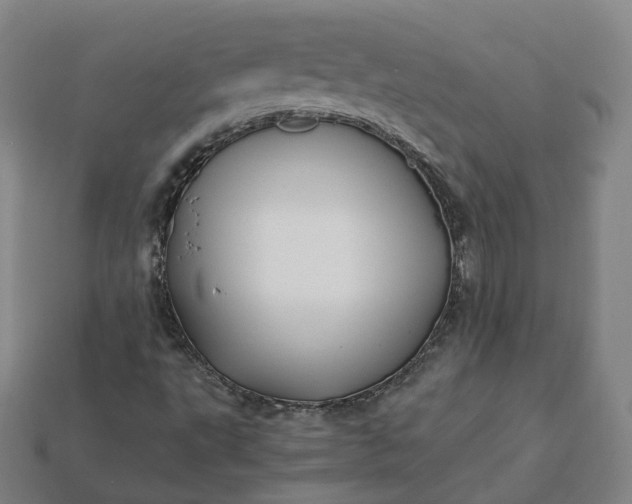 X0000115241495200911131653