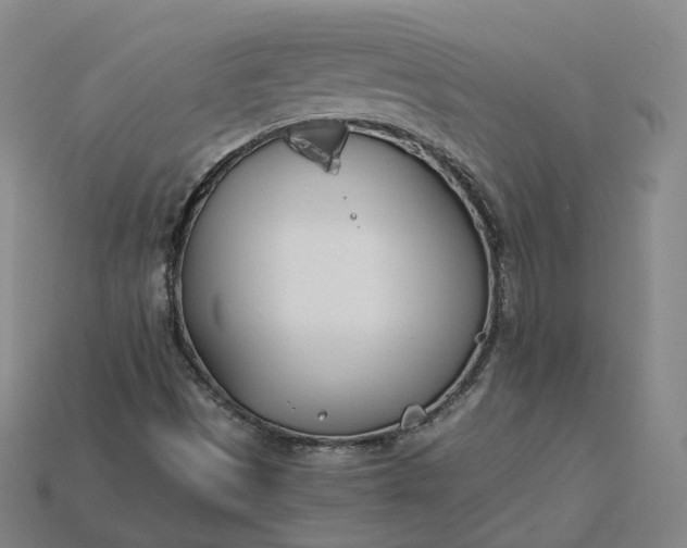 X0000115241497200911131653