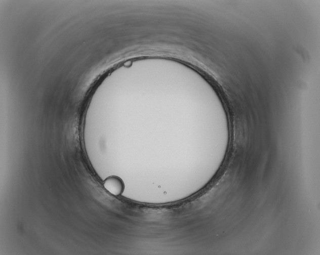 X0000115241498200911131653