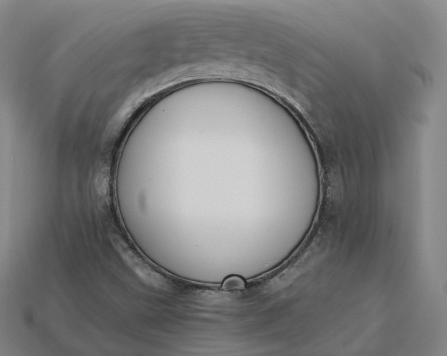 X0000115241499200911131653