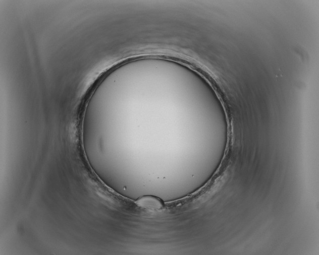 X0000115241501200911131653