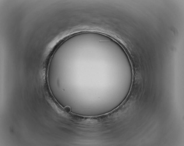 X0000115241503200911131653