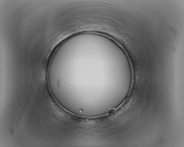 X0000115241505200911131653