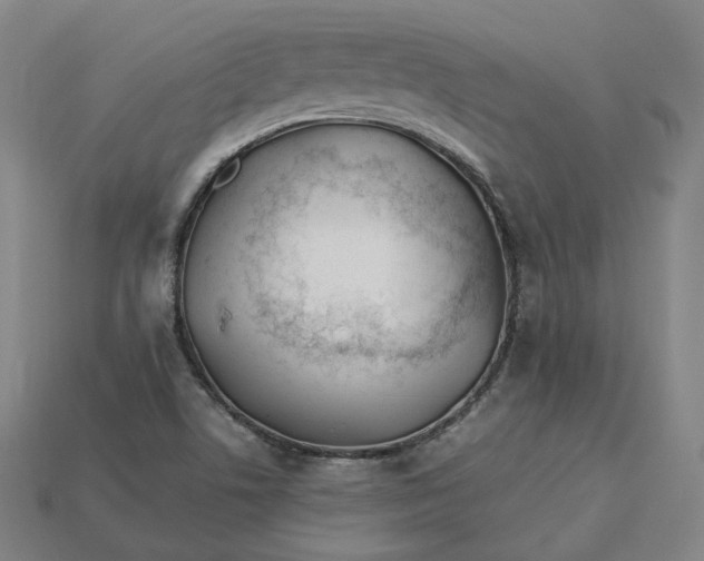 X0000115241506200911131653