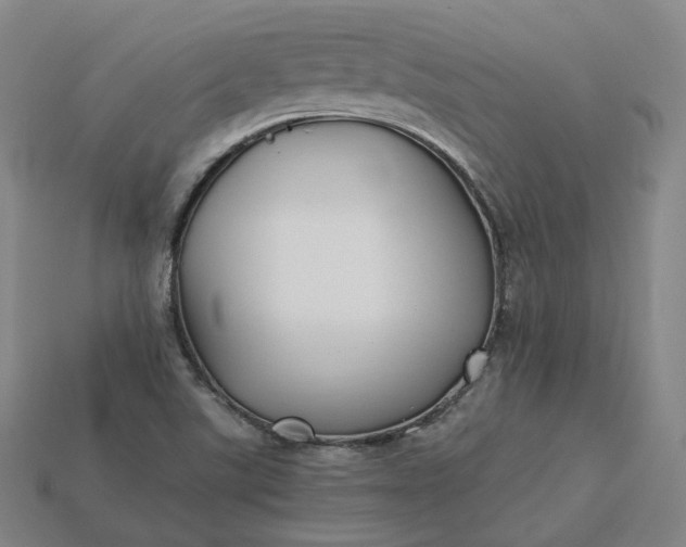 X0000115241507200911131653