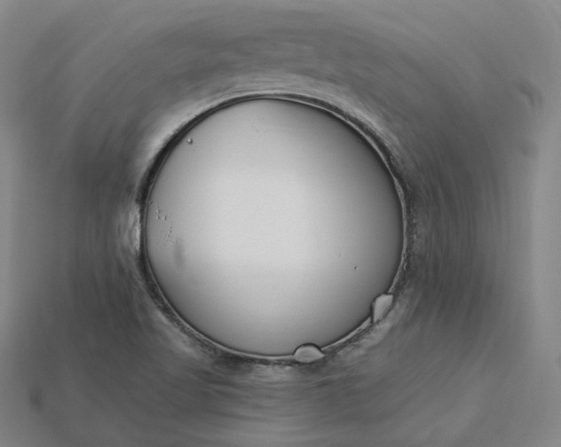 X0000115241509200911131653