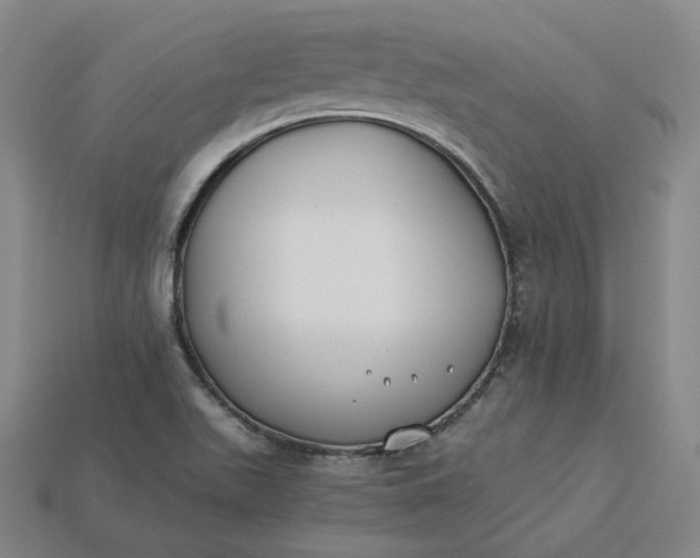 X0000115241511200911131653