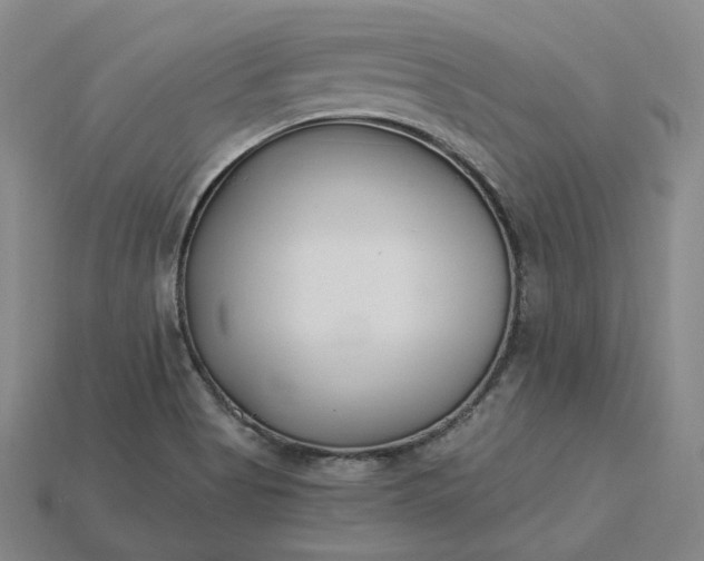 X0000115241513200911131653