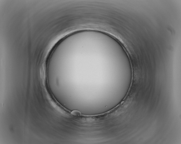 X0000115241515200911131653