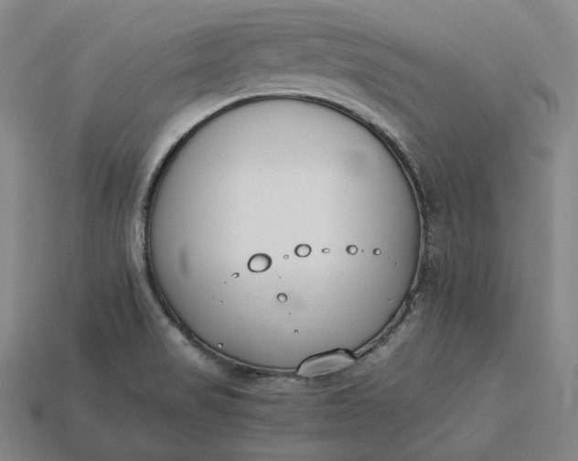 X0000115241517200911131653