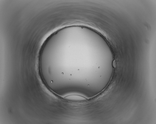X0000115241518200911131653