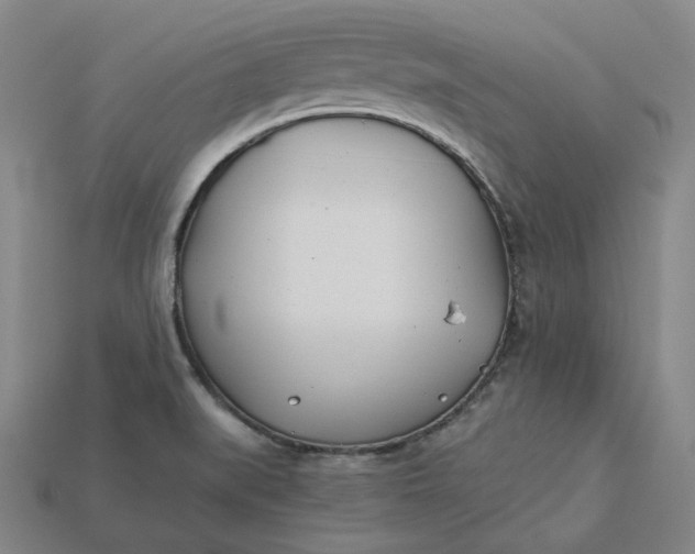 X0000115241519200911131653