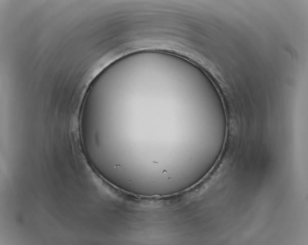 X0000115241521200911131653