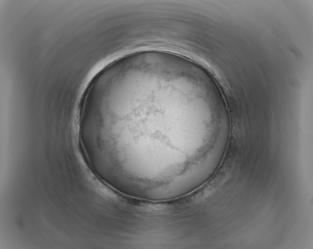 X0000115241522200911131653