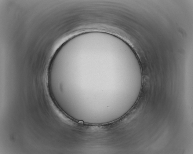 X0000115241523200911131653