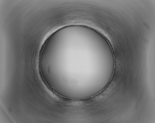 X0000115241525200911131653