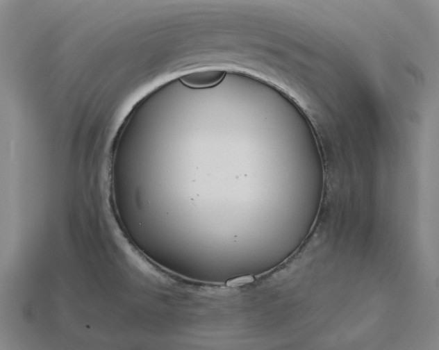 X0000115241526200911131653