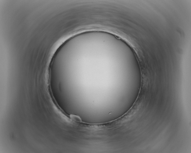 X0000115241527200911131653