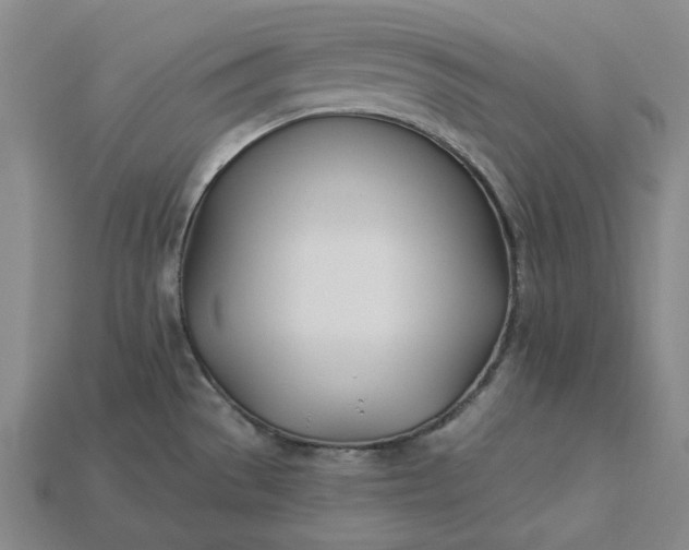 X0000115241529200911131653