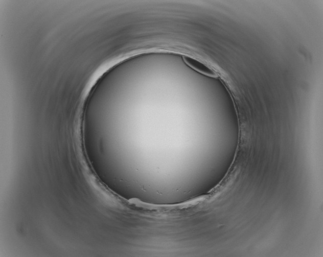 X0000115241530200911131653