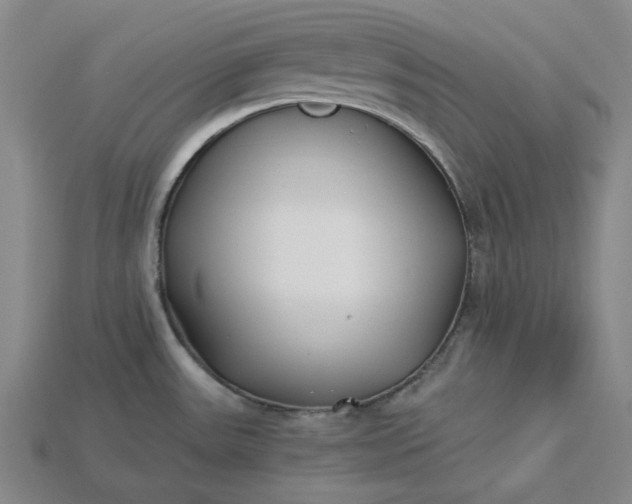X0000115241531200911131654