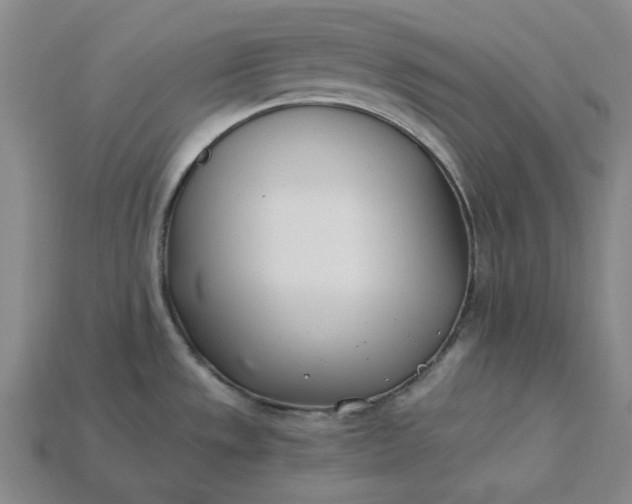 X0000115241533200911131654