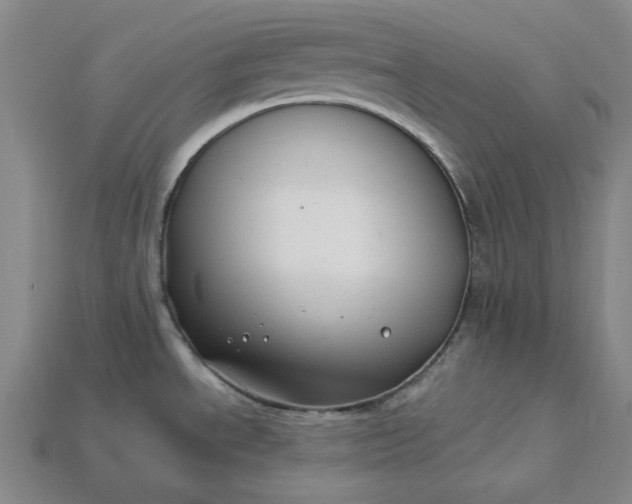 X0000115241534200911131654