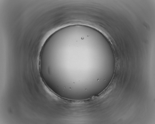 X0000115241535200911131654
