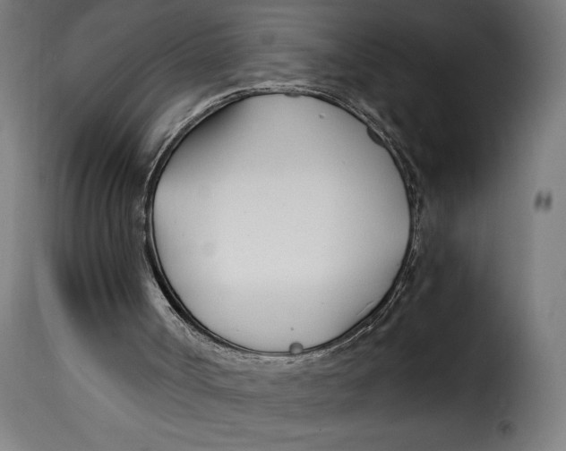 X0000115240002200911201630