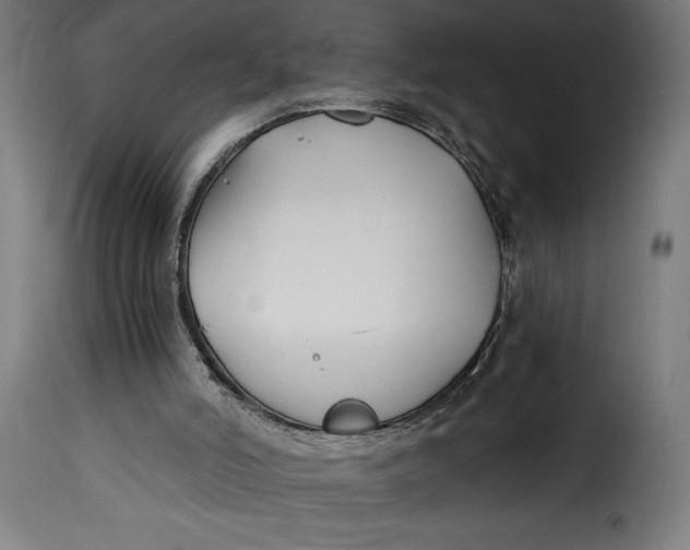 X0000115240006200911201630