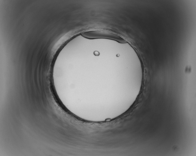 X0000115240007200911201630