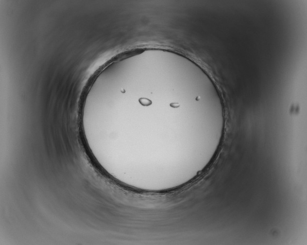 X0000115240008200911201630