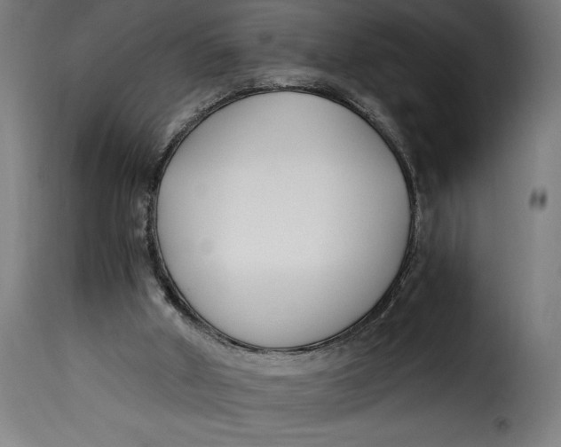 X0000115240010200911201630