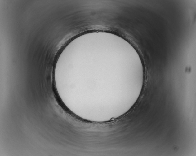 X0000115240011200911201630