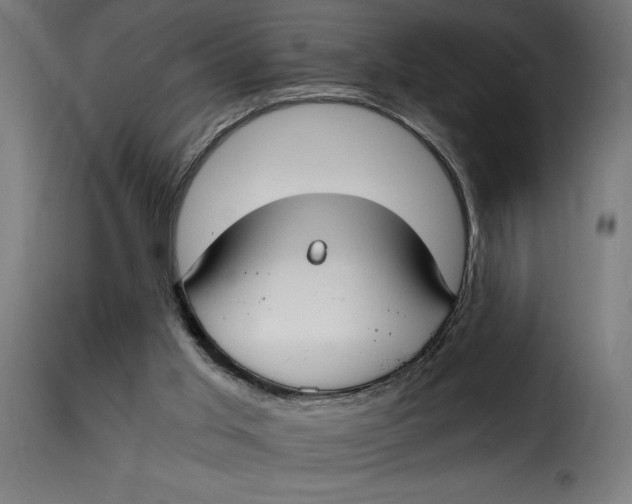 X0000115240013200911201630