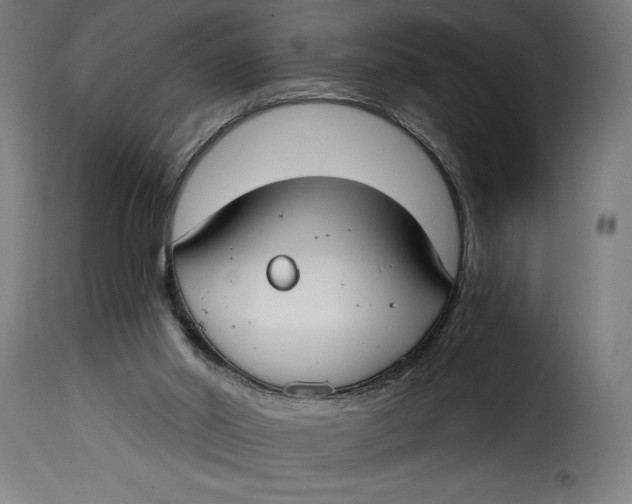 X0000115240014200911201630