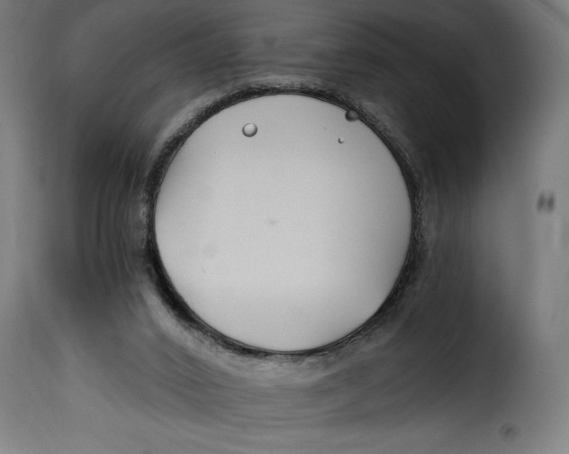 X0000115240016200911201630