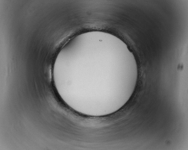 X0000115240020200911201630