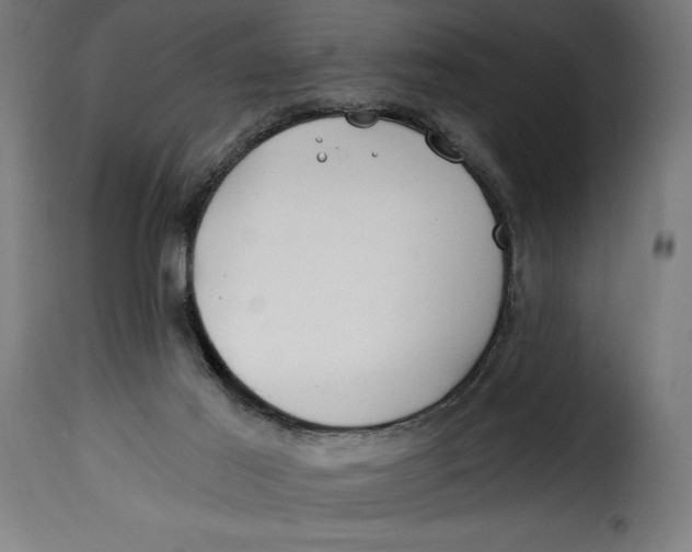 X0000115240021200911201630