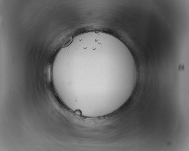 X0000115240022200911201630